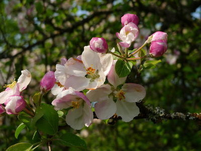 &copy; Werner Steiger