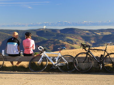 &copy; Werner Steiger