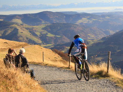 &copy; Werner Steiger