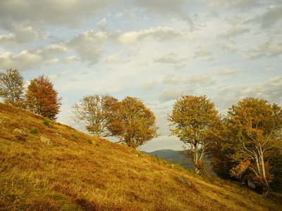 &copy; Werner Steiger