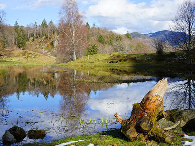 &copy; Werner Steiger