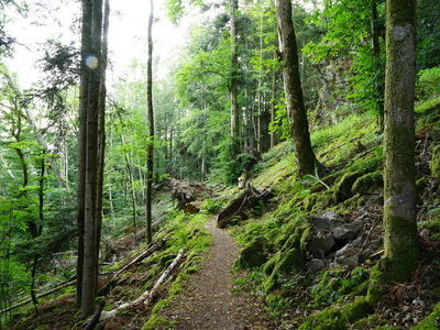 &copy; Werner Steiger