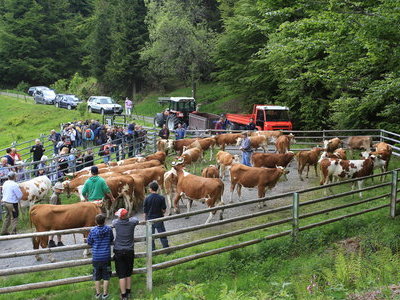 &copy; Werner Steiger