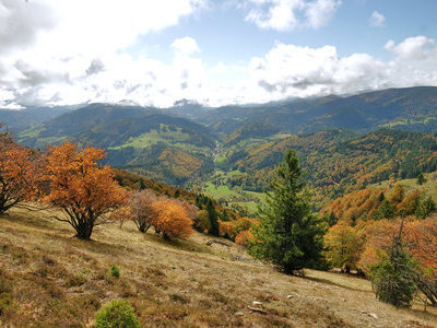 &copy; Werner Steiger